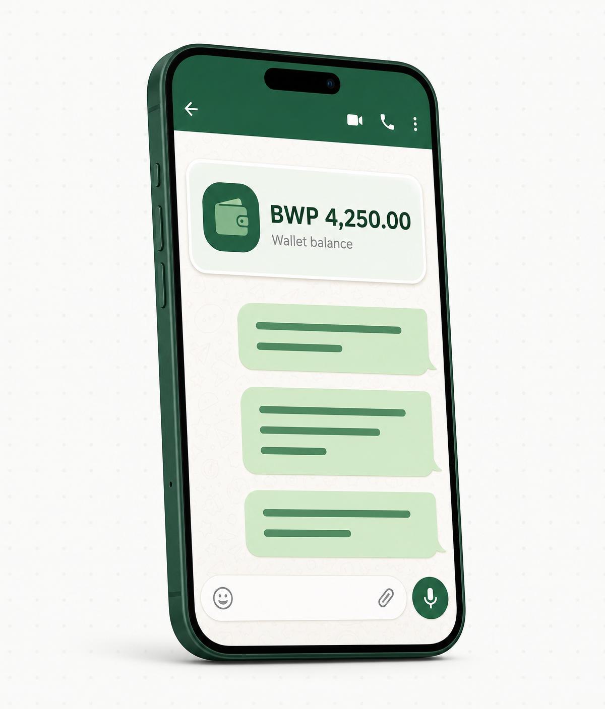 Romela Pula WhatsApp chat with wallet balance